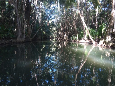 Love this Indian River Tour Love this Indian River Tour